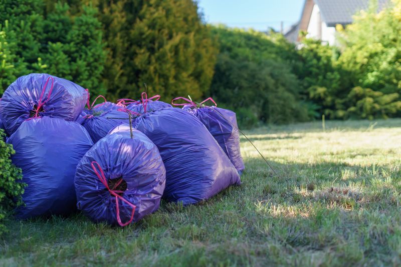 Garden clearance and household waste removal